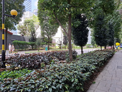 Icon Village (D2), Retail #539556531